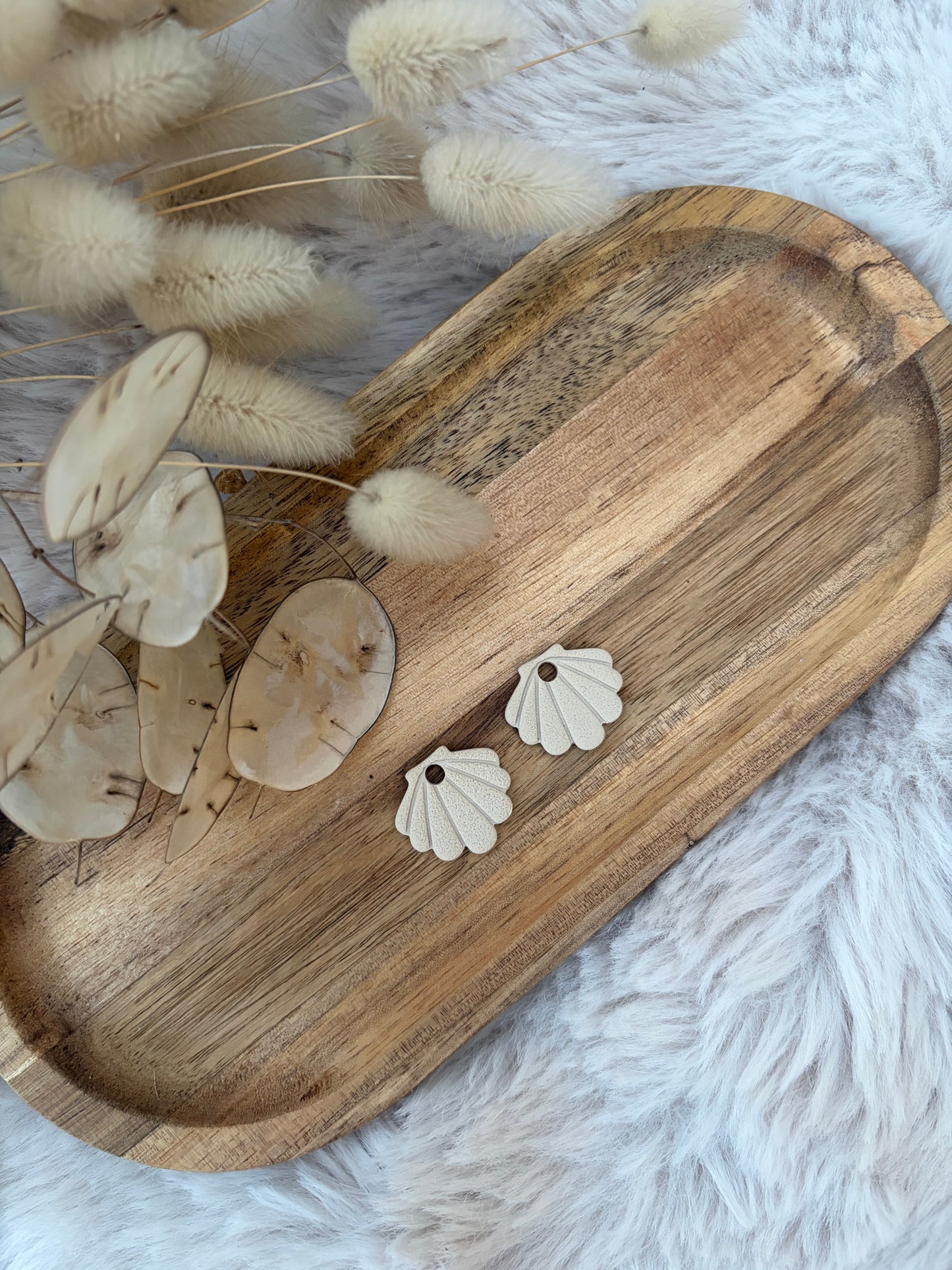 Pampilles coquillages 🐚