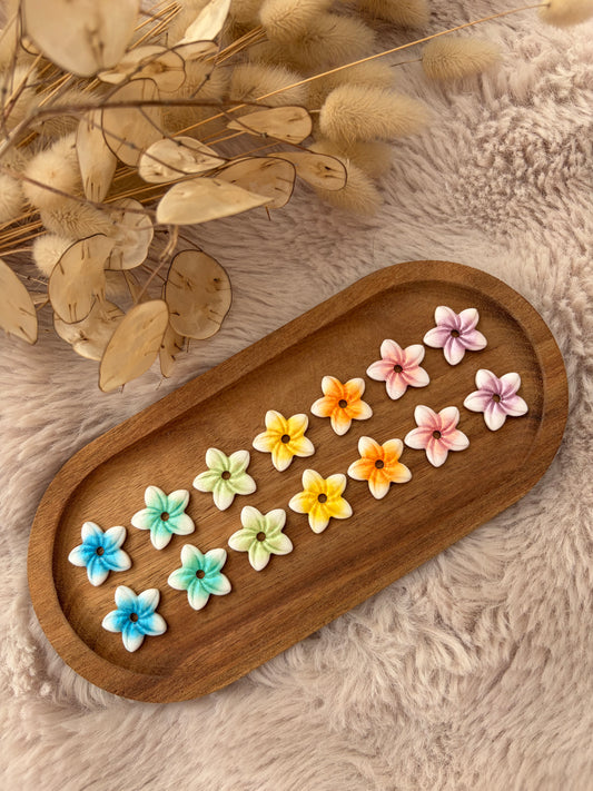 Fleurs de tiaré colorées 🌸