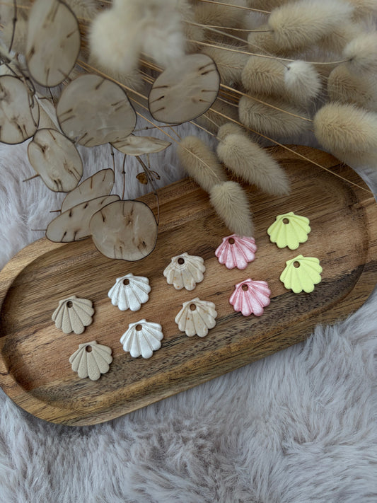 Pampilles coquillages avec créoles 🐚